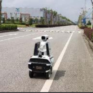 Road inspection robot