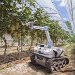 Agricultural picking robot