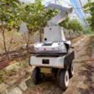 Agricultural picking robot